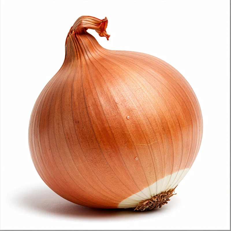la cebolla